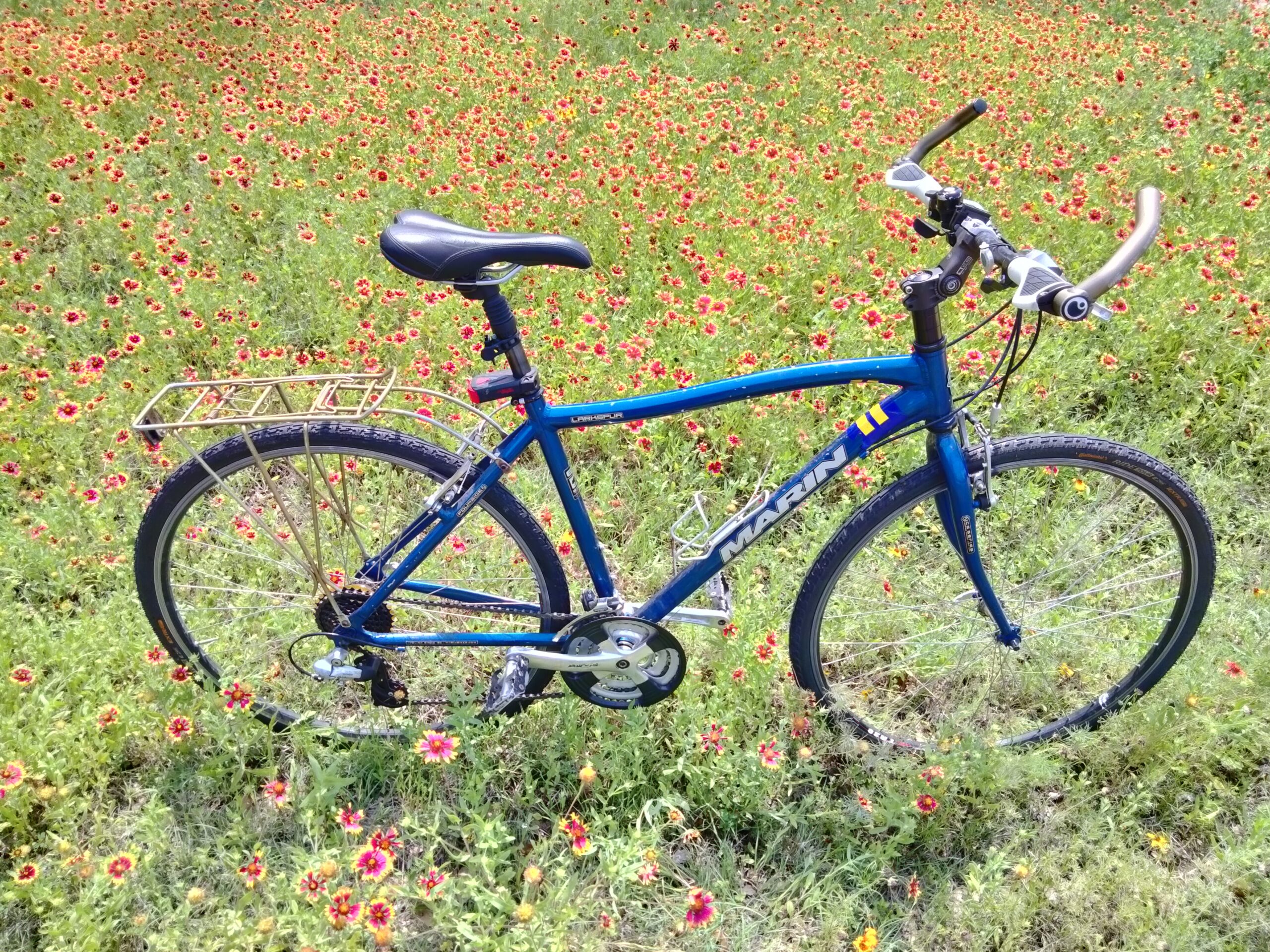 A blue bike in a field of girasoles rojos